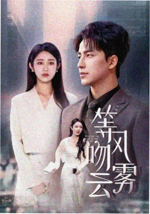 6080新视觉电视剧青春合伙人